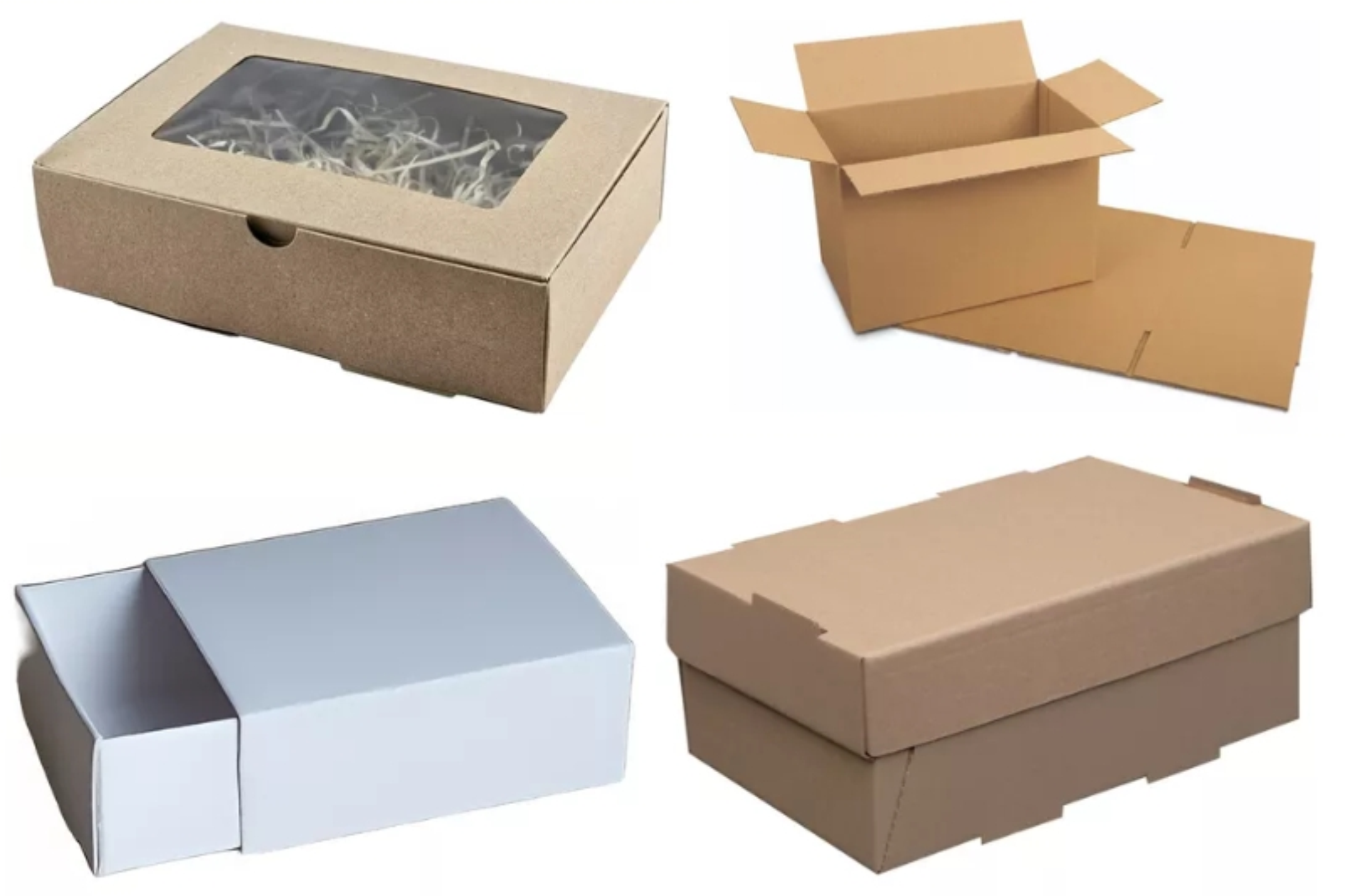 Packaging y Empaques